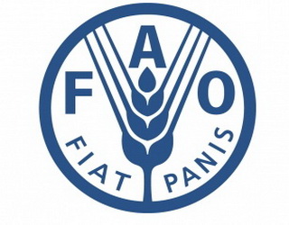 ФАО у 2018-2019 роках в Україні сприятиме розвитку ринків та підсиленню малих і середніх сільсьгоспвиробників